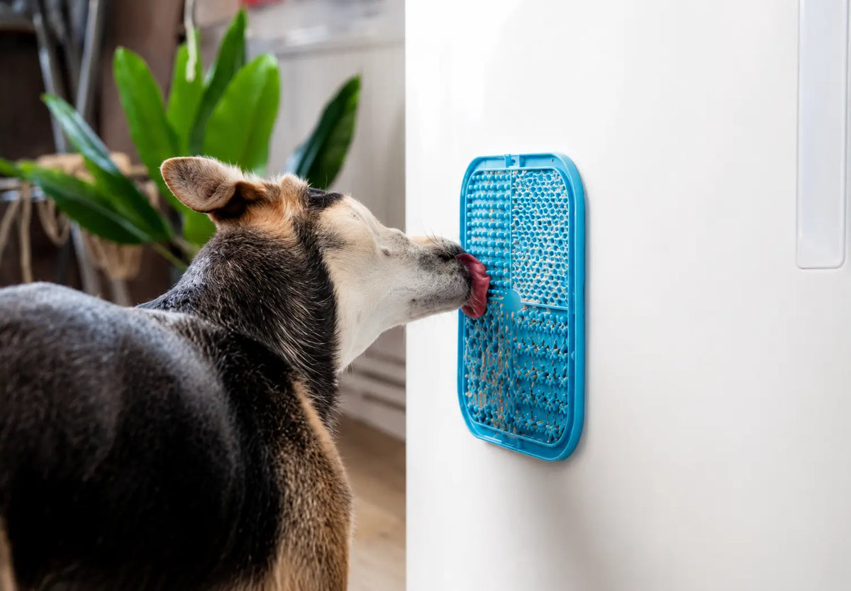 10 Lick Mat Recipes Your Dog Will Go Crazy For