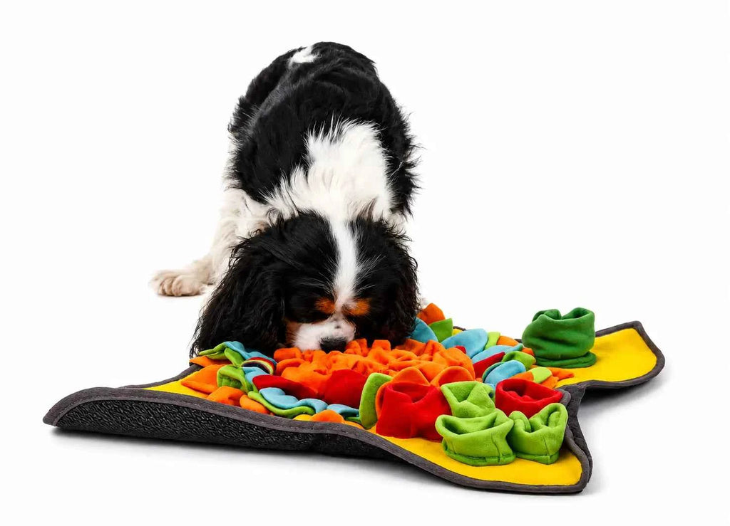 Engaging Snuffle Mat for Dogs – Stimulate Your Dog’s Foraging Instinct
