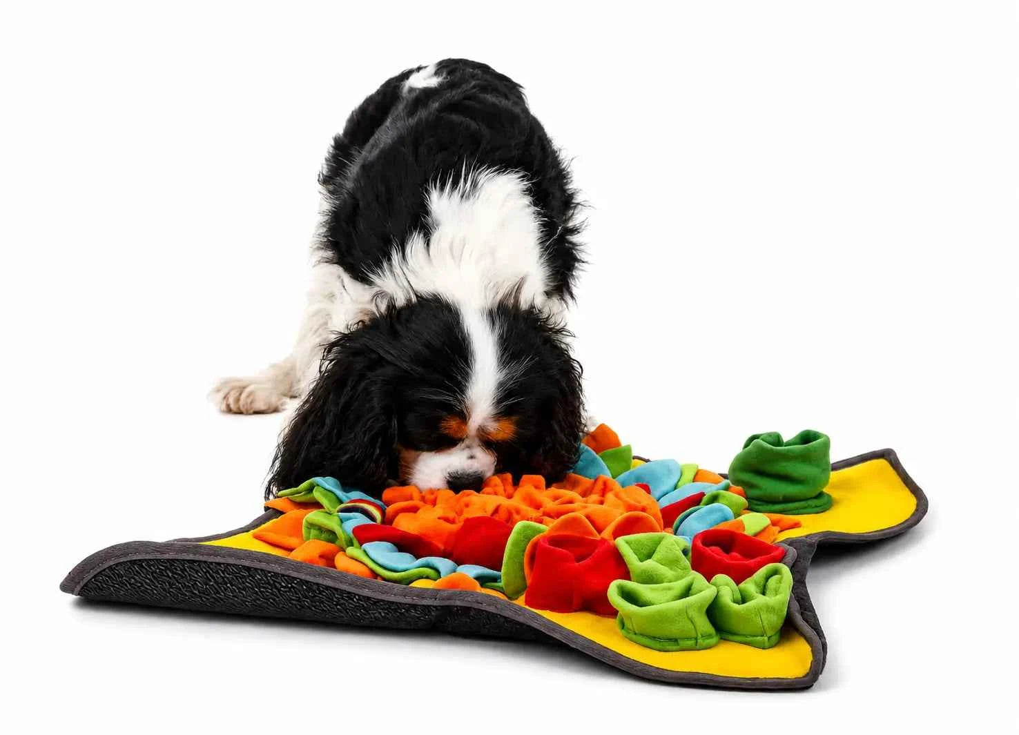 Engaging Snuffle Mat for Dogs – Stimulate Your Dog’s Foraging Instinct