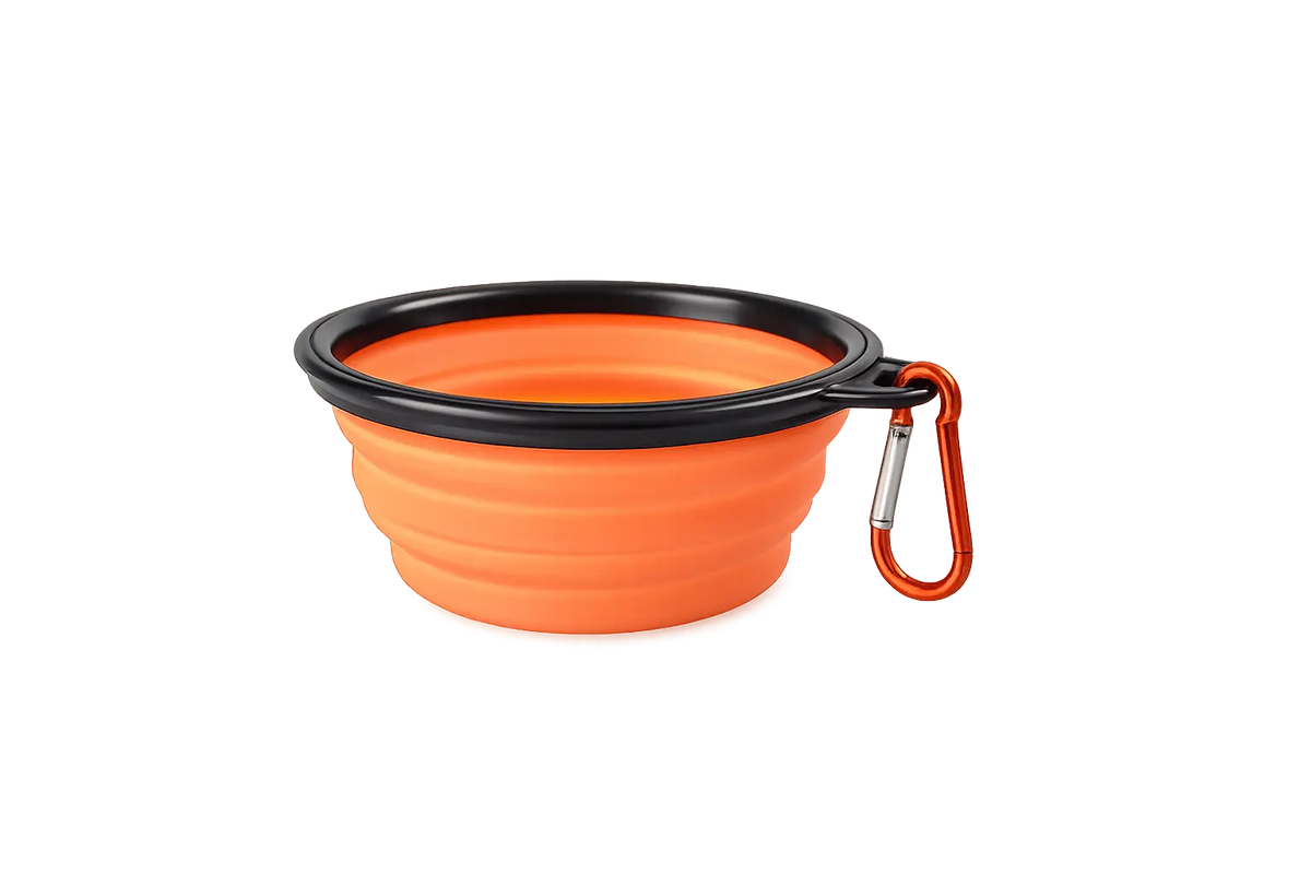 Collapsible silicone dog bowl on outdoor trail used by dog during walk
