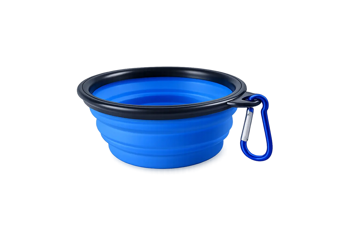 Collapsible travel bowl for dogs in purple showing expanded and collapsed states
