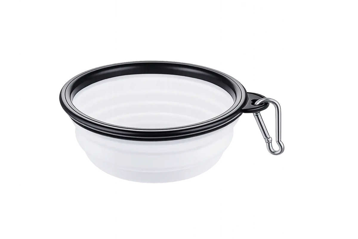 Dog travel bowl in orange BPA-free dishwasher safe portable lightweight design