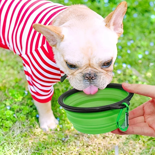 Foldable silicone dog bowl collapsed showing portable flat storage design