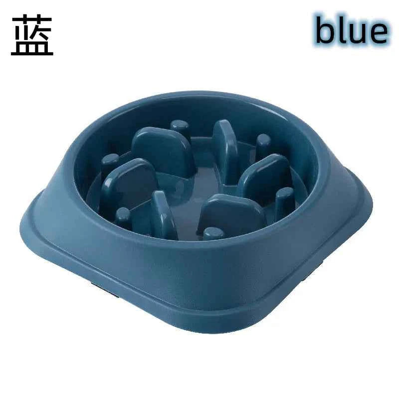 Slow Feeder Dog Bowl: Enhance Your Pup's Dining Experience