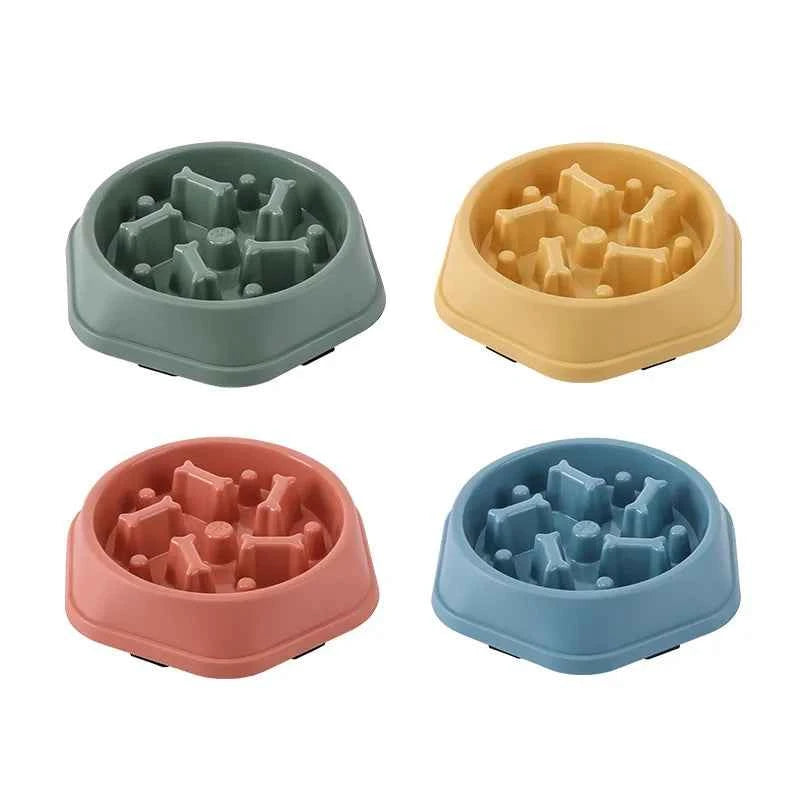 Slow Feeder Dog Bowl: Enhance Your Pup's Dining Experience