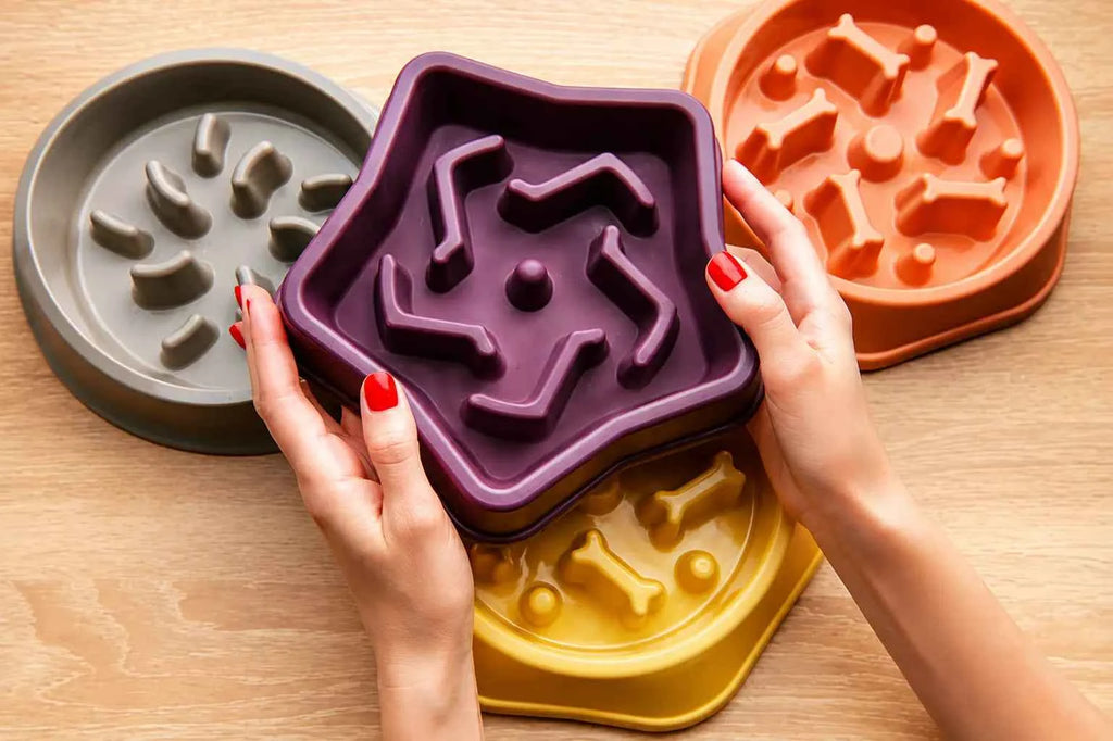 Slow Feeder Dog Bowl: Enhance Your Pup's Dining Experience