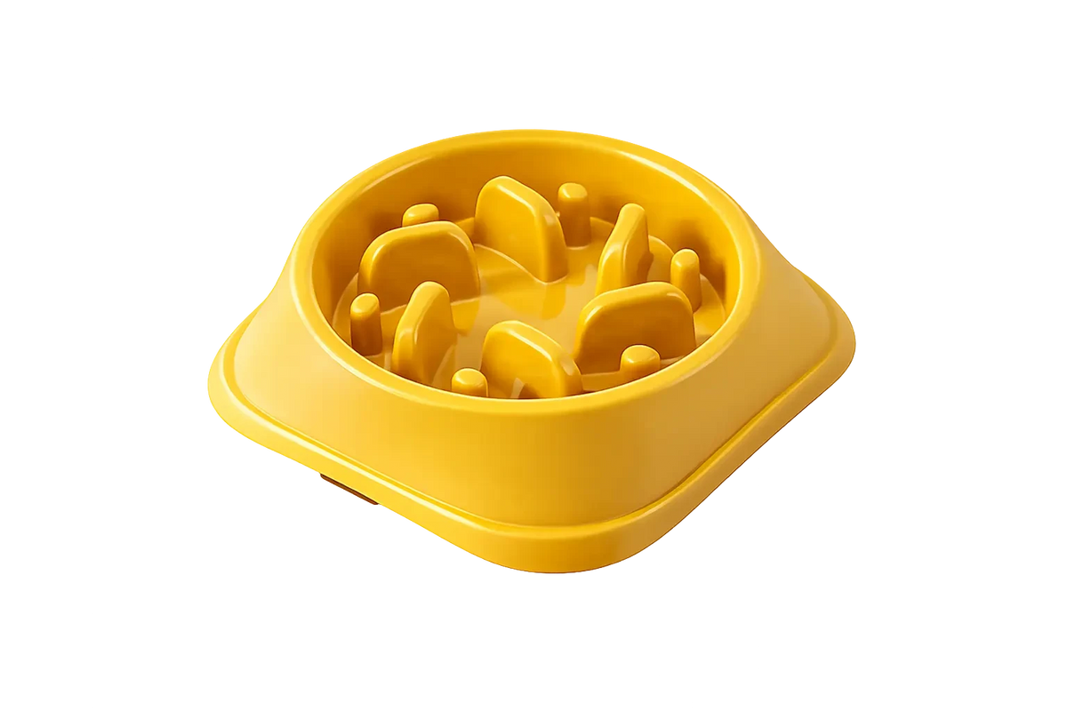 Slow Feeder Dog Bowl: Enhance Your Pup's Dining Experience