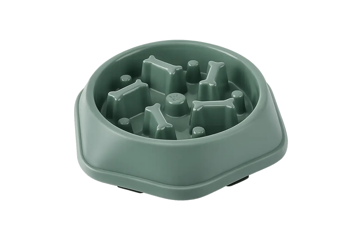 Slow Feeder Dog Bowl: Enhance Your Pup's Dining Experience