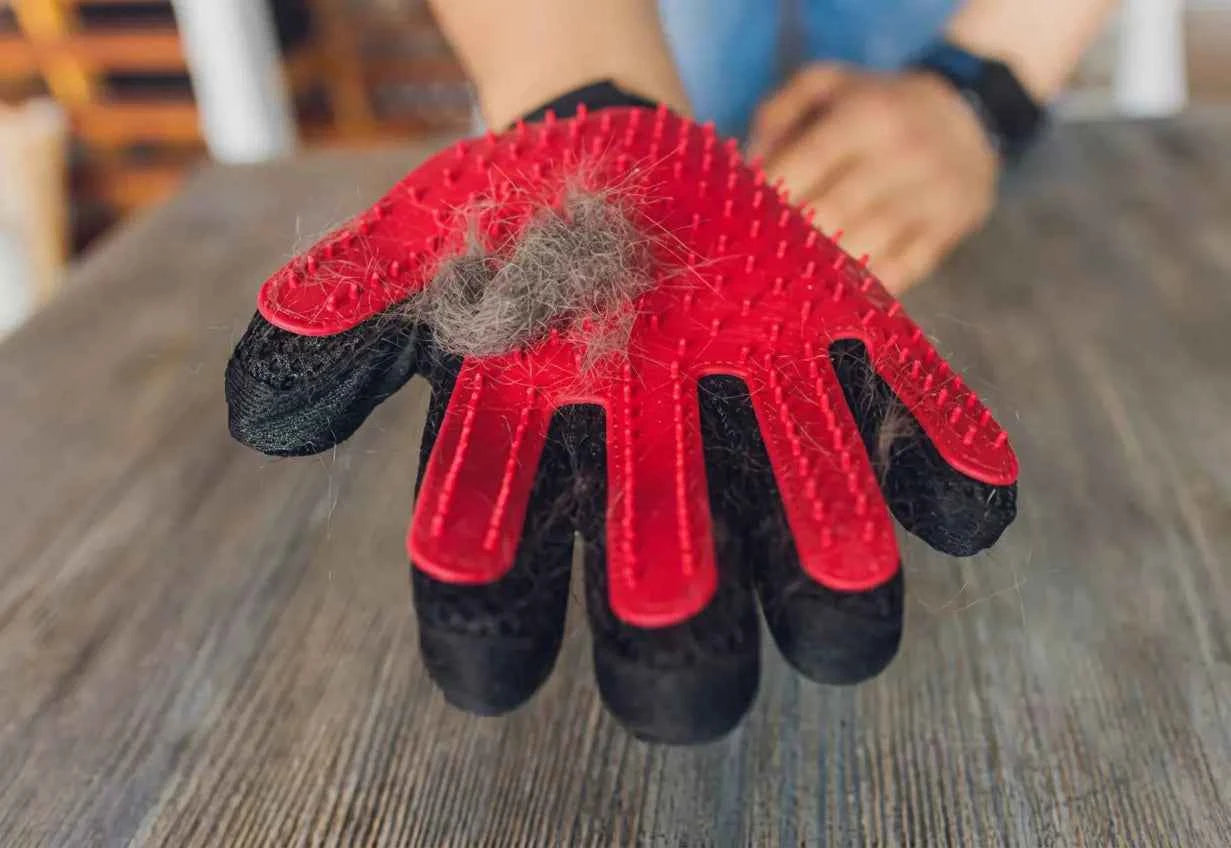 Dog Grooming Glove