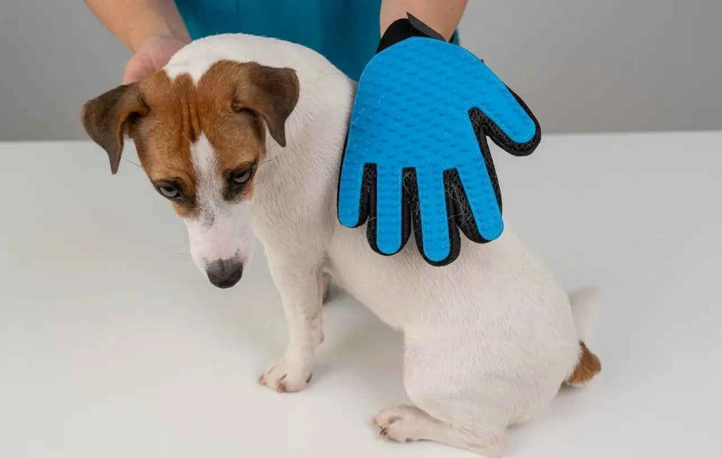 Dog Grooming Glove