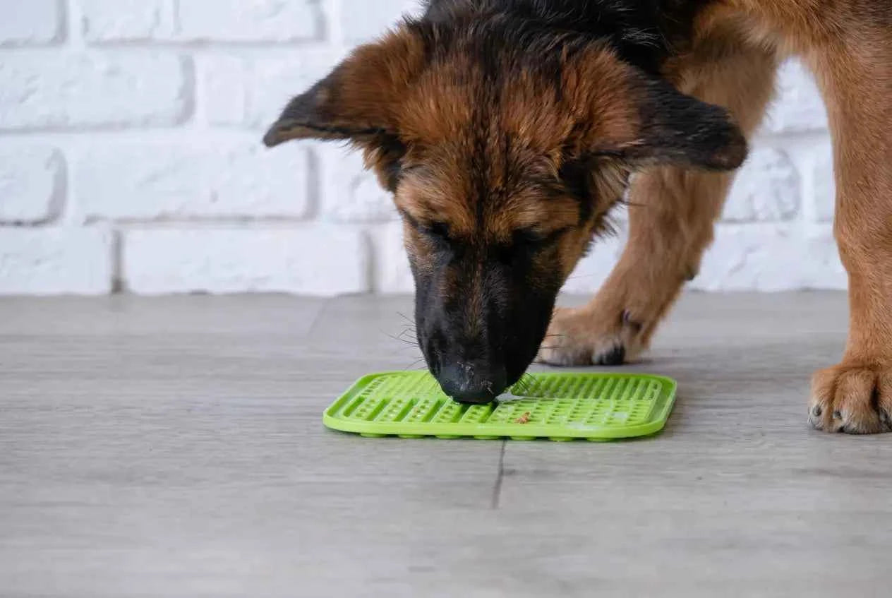 Silicone Lick Mat for Dogs