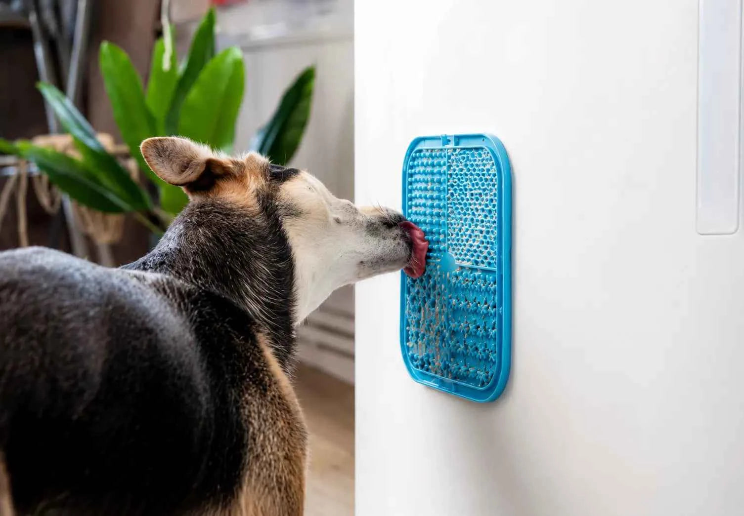Silicone Lick Mat for Dogs