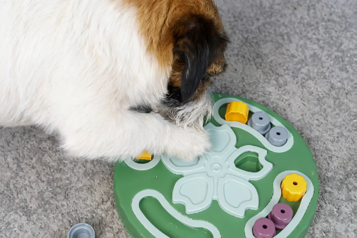 Puzzle feeder toy for dogs in blue showing hidden treat compartments and covers