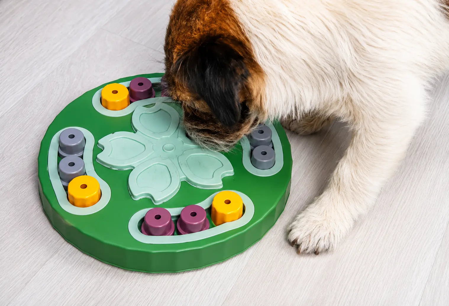 Puzzle feeder toy for dogs showing lift-and-reveal sections for mental enrichment