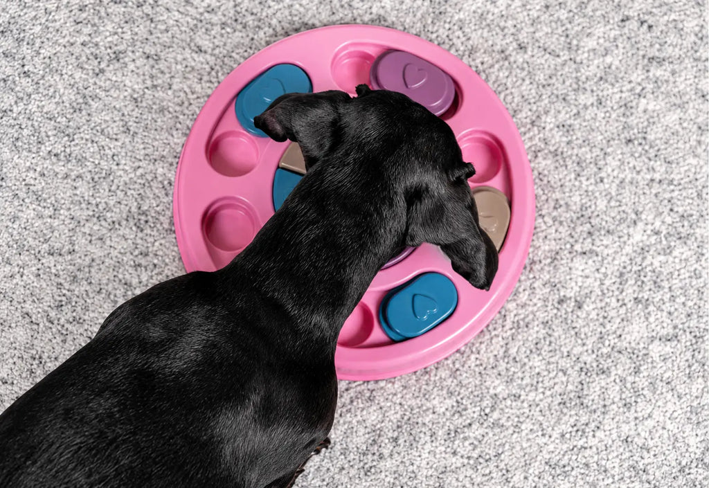 Dog puzzle feeder with rotating disc design multiple compartments for kibble and treats